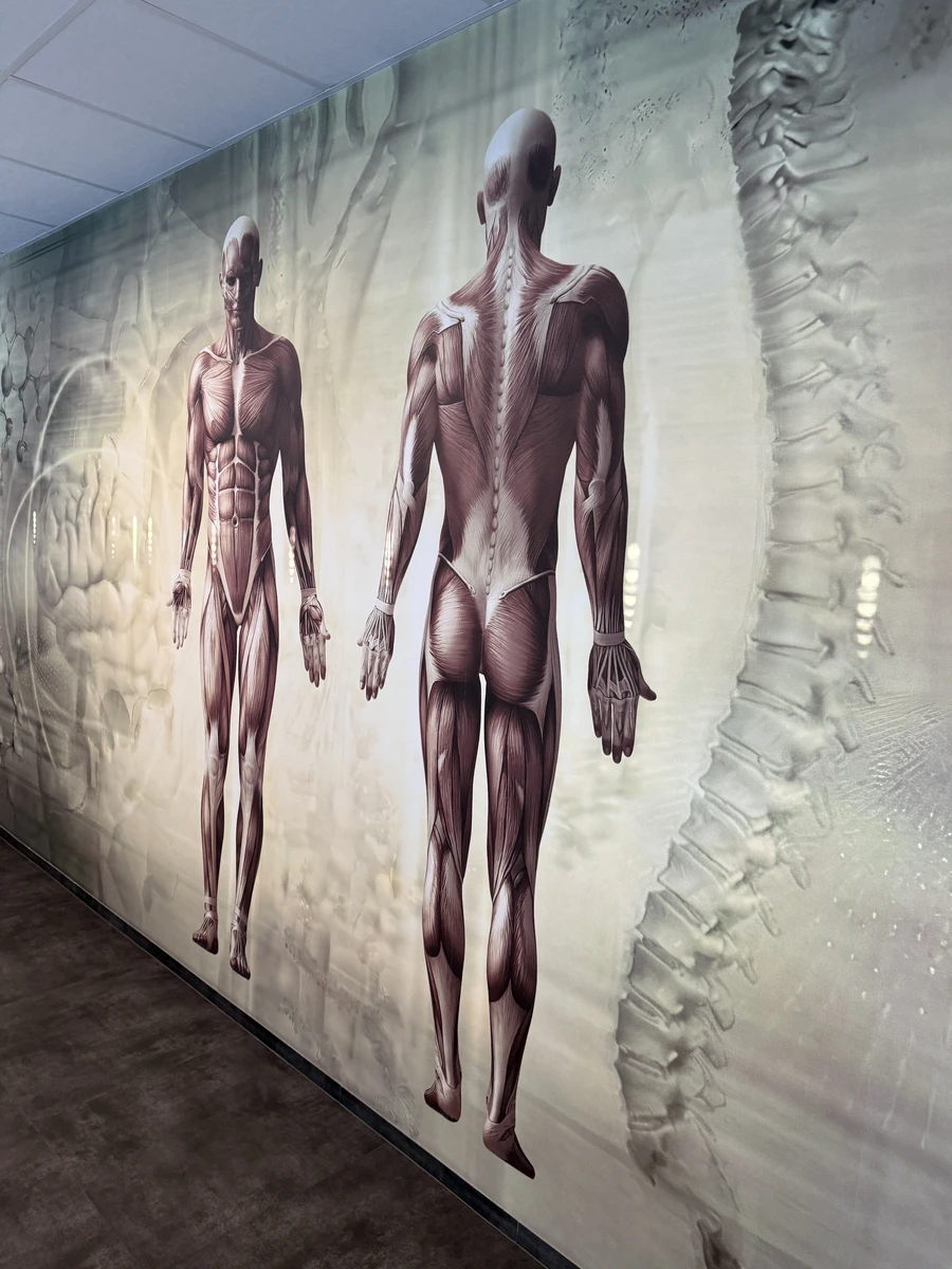 Otwarcie Centrum Symulacji Medycznej w Wyższej Szkole Inżynierii i Zdrowia w Warszawie -8