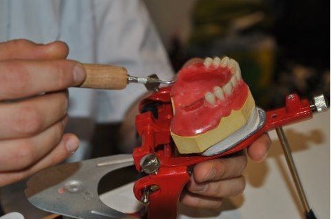 Trwa nabór na techniki dentystyczne w WSEiT