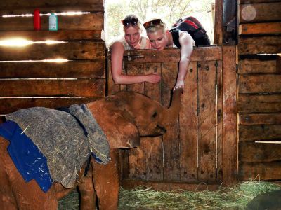 Ela i Ania - laureatki II edycji, wolontariat w ośrodku dla słoni